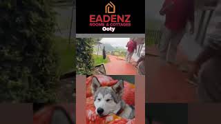 Eadenz Room amp Cottage ooty ooty [upl. by Raamaj]