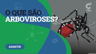 O que são arboviroses [upl. by Soulier]