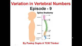 Sacralization and Lumbarization of the Spine Know Your Spine Episode  9 [upl. by Pernick]