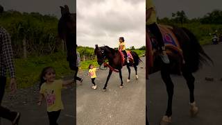 Horse 🐎 Riding  horse horses ghoda horseriding horselover ytvideo shortsfeed dhruhi [upl. by Anne646]