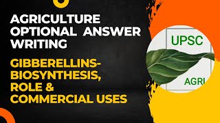 Gibberellins Biosynthesis Role amp Commercial Uses  Agriculture Optional Answer Writing  UPSC [upl. by Ottillia476]