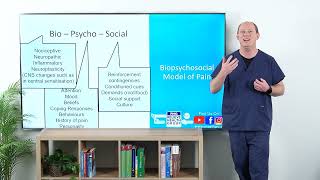 Pain 1B Biopsychosocial Model of Pain [upl. by Enomys]