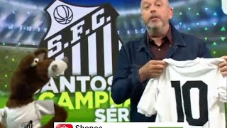 fantástico OS GOLS BRASILEIRÃO e SANTOS CAMPEÃO série B e os cavalinhos [upl. by Mott375]