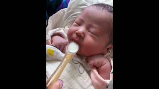 The first mouthful of milk after birth neonatal newborn newbornbaby babycare babyblender [upl. by Denton]