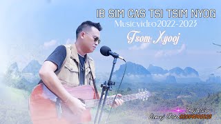 ib sim cas tsis tsim nyog tsom xyooj 2022 [upl. by Yrrol155]