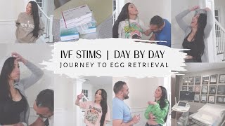 IVF Stimulation Day By Day  Journey To Egg Retrieval ivf ttc icsi [upl. by Suinuj]