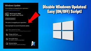 How To Disable Windows Auto Updates amp Why You Should Do It [upl. by Jahdol341]