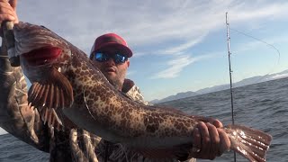 LINGCOD FISHING Vertical Jigging Vancouver Island Part 1 [upl. by Lemhar237]