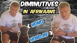 Verkleinwoorde  How to pronounce diminutives in Afrikaans and their rules [upl. by Eisen]