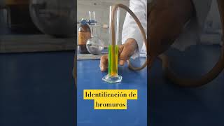 Identificación de bromuro quimicainorganica ciencia [upl. by Whitten]