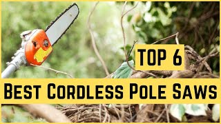 ✅ Pole Saw 6 Best Cordless Pole Saws Buying Guide [upl. by Ahtelrac]