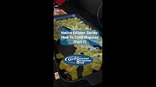 Native Edible Series 3 How To Cook Nopales Part 1 [upl. by Grimona]