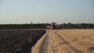 Coldiretti Puglia cresce il valore dei terreni agricoli in regione [upl. by Poliard]