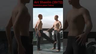 Exercice pour laine 3972 art shaolin [upl. by Adnolohs511]