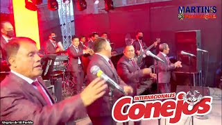 Internacionales Conejos  Mix Merengue 2022 [upl. by Uile]