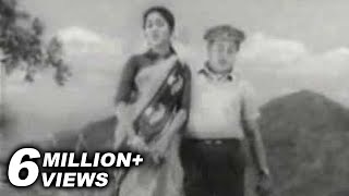 Naan Pesa Ninaipadhelam  Palum Pazhamum  Saroja Devi amp Sivaji Ganesan  Evergreen Songs [upl. by Ecadnac]