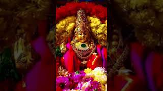 സ്വാമി ശരണം 🙏 swamisaranam ayyappan ayyappaswamysongs sabarimala saranam ayyappa swami [upl. by Houston]