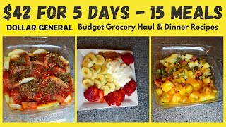 Dollar General Budget Grocery Haul amp Dinner Meals 42 for 5 days  15 meals [upl. by Folsom654]