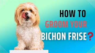 quotThe Ultimate Bichon Frise Grooming Guide Keeping Your Pooch Poshquot [upl. by Crean240]