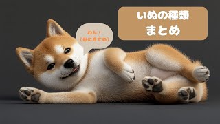 犬の種類まとめの紹介 パグ 柴犬 ラブラドール など [upl. by Lepley]