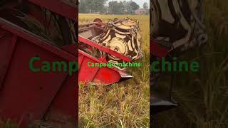 Campaign machine 👩‍🌾🥰 amazing paddy harvesting technology shortvideo [upl. by Haida964]