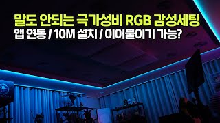 단돈 5만원에 가능한 역대급 가성비 RGB 조명 아이템 필립스 휴 안녕 [upl. by Felske890]