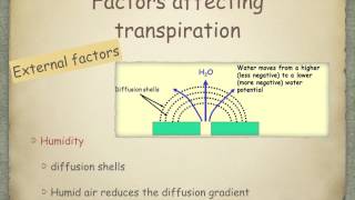 AS level G18 Transpiration Ms Cooper [upl. by Shawnee600]