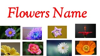 Flower NameRoseTypes of FlowersSunflower [upl. by Atilal]