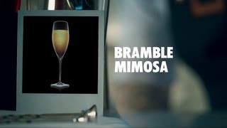 BRAMBLE MIMOSA DRINK RECIPE  HOW TO MIX [upl. by Attenreb]