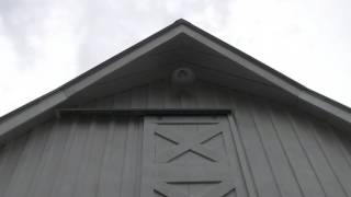 White Gambrel Barn Post and Beam [upl. by Salhcin]