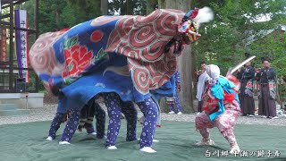 白川郷どぶろく祭り 平瀬の獅子舞 七五三～獅子殺し 2024年  岐阜県白川村平瀬 [upl. by Enelaehs]