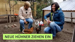 Eigene Hühner im Garten halten  Hühnerstall einrichten 🐔 Bauerngarten [upl. by Ennahtebazile748]