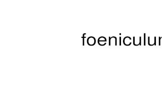 How to pronounce foeniculum [upl. by Elleinaj]