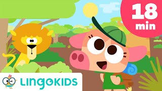 Savannah Song 🐆🦓🦁  More Wild Animal Songs for Kids  Lingokids [upl. by Kresic792]