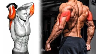 Triceps workout  Triceps Exercises With Dumbbell and Barbell Only [upl. by Marlette]