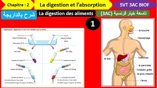 La digestion des aliments svt 3ac partie 1 شرح بالداريجة [upl. by Aicekal]