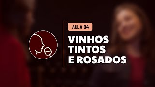 Aula 4  Vinhos Tintos e Rosés [upl. by Dene]