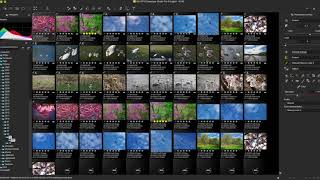 Silkypix Quick Tip 4 view multiple folders at once [upl. by Laroy408]