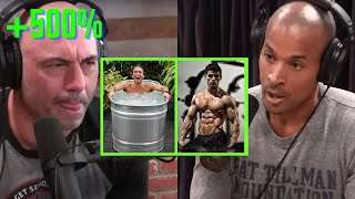 Joe Rogan How to Increase Testosterone by 500 [upl. by Rasia771]