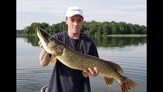 Back to Back Big Pike  Live Bait Bobber Fishing [upl. by Jerroll]