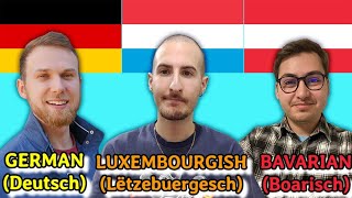 Similarities Between German and Luxembourgish [upl. by Eugilegna539]