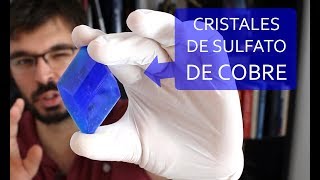 Cómo hacer cristales azules ENORMES de SULFATO DE COBRE en casa [upl. by Annis]