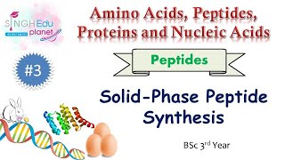 Solid Phase Peptide Synthesis BSc 3rd Year Amino acids Peptides Proteins and Nucleic Acids [upl. by Erna]