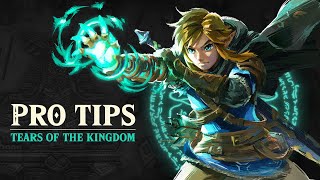 Tears Of The Kingdom  PRO TIPS  You Should Know From The Start [upl. by Radmen]