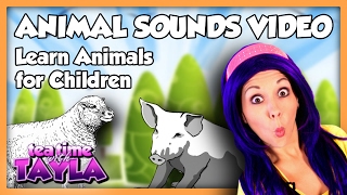 Animal Sounds Video  Learn Animals for Children on Tea Time with Tayla [upl. by Aeel480]