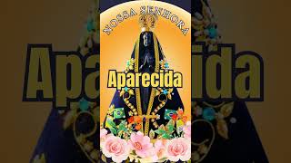 Nossa Senhora Aparecida Amor fe Deus reflexão santidadecatolica catequese oração Devoção [upl. by Nadoj]