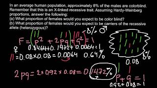 Tricky HardyWeinberg problem [upl. by Joscelin]