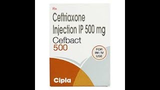 Cefbact 500mg Injection [upl. by Laflam771]