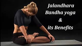 Jalandhara Bandha yoga pose and its Benefits  Yoga for Beginners [upl. by Mackenie963]