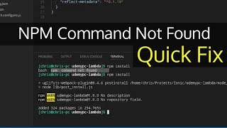 NPM Command Not Found  NodeJS Quick Fix [upl. by Scoles]